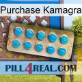 Purchase Kamagra new09